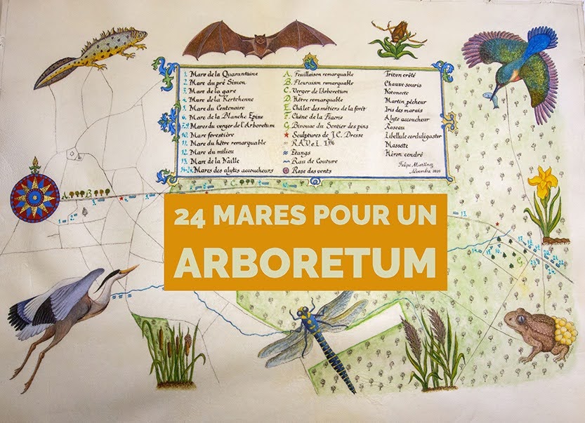 Inauguration des 24 mares de l'Arboretum