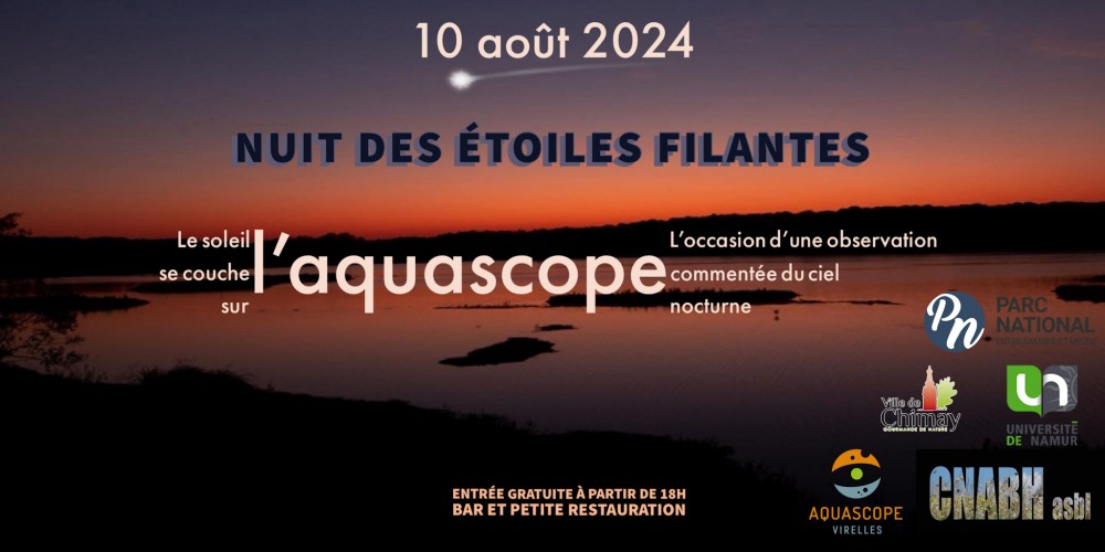 Nuit des étoiles filantes
